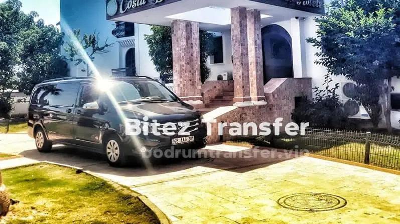Bitez Transfer