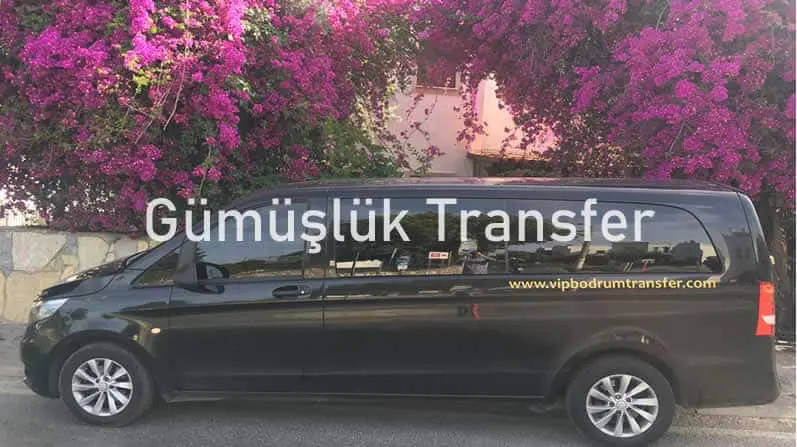 Gümüşlük Transfer