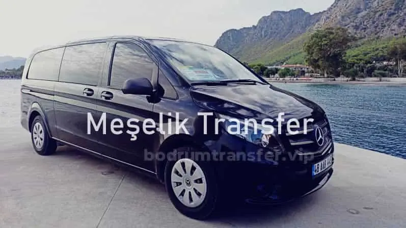 Meşelik transfer 